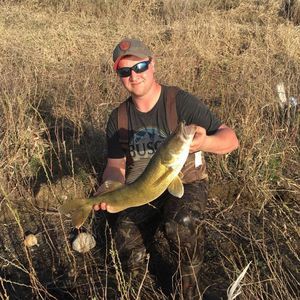 Meet your Posher, Landan